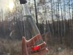 -莫尔道嘎国家森林公园