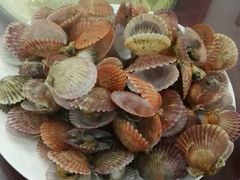 -四海鲜渔家菜(黄金海岸店)