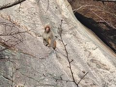 -崂山巨峰游览区