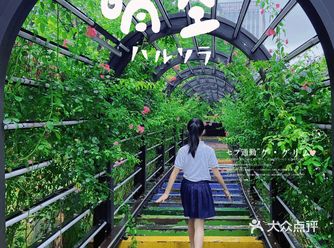 旺角的蔷薇花铁轨，免费的取景地