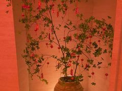 -舒小悦·舒养SPA·古法推拿(光环中心店)