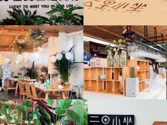 -云里小坐·小院里·团建·宴请·下午茶(三圣乡店)