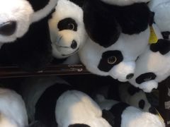 -熊猫屋(宽窄巷子景区店)