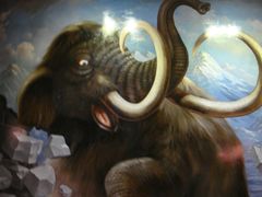 -信不信由你博物馆