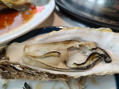 -天鹰观渔(梦园店)