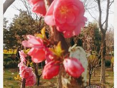 -大兴滨河森林公园