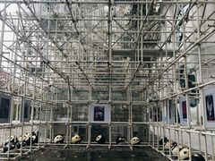 -证大喜玛拉雅中心