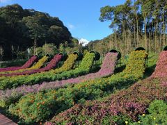 -广州市石门国家森林公园