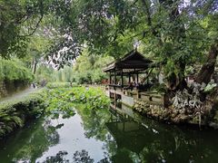 -桂湖森林公园
