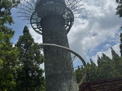 -黄海国家森林公园