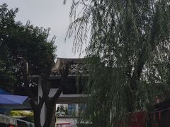 -合肥市裕丰花鸟虫鱼市场-F区