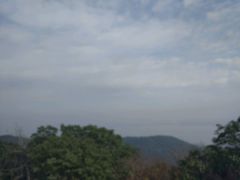 -雨花胜境