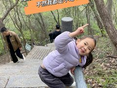 -紫金山山顶公园