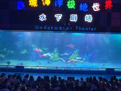 -泉城欧乐堡海洋极地世界