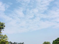 -广东圆玄道观