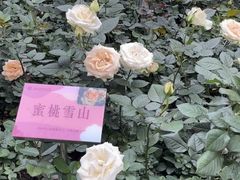 -人民公园(罗湖区)