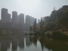 -重庆彩云湖湿地公园