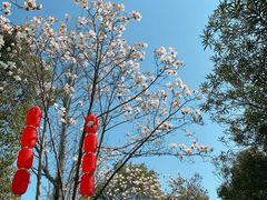 -梁祝景区