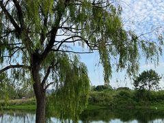 -良渚古城遗址公园