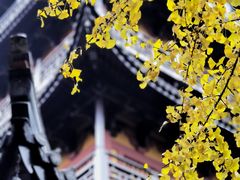 -常熟方塔园
