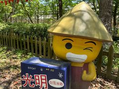 -上海都市菜园