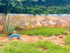 -杭州野生动物世界