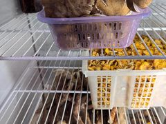-双喜农庄·菌香园(安居家园店)