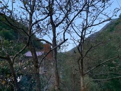 -白云源风景区