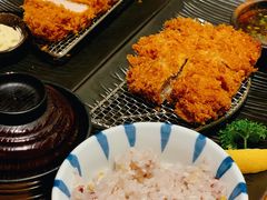 -胜博殿日式炸猪排(悠唐店)