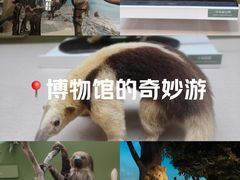 -国家自然博物馆