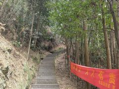 -缙云山景区