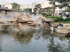 -静之湖度假区