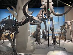 -国家自然博物馆