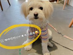 -PUZZLE COFFEE 拼图咖啡