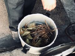 -司徒世家·兵马司林粽球(牌坊街店)