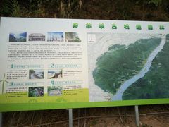 -羚羊峡古栈道森林公园