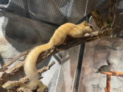 -Zoolung Zoolung动物主题公园(海信广场店)