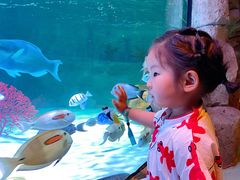 -沈阳海洋探索中心