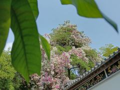 -深圳国际园林花卉博览园