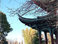 -庾园