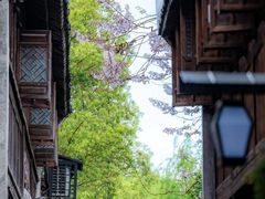 -乌镇东栅景区