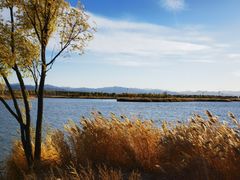 -野鸭湖国家湿地公园