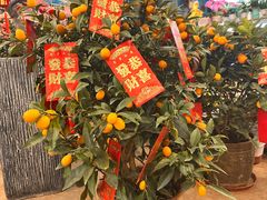 -双季花艺园艺市场(浦东店)