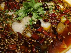 -三猫黑鱼花(南大店)