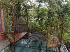 -喵屿·大理花园猫咖