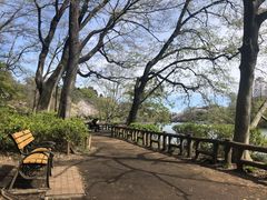 -井之头恩赐公园