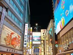 -蟹道乐(道顿堀本店)