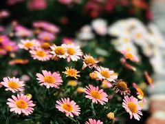 -瓦库茶馆17号(海汇港店)