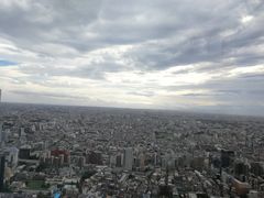-东京都厅舍