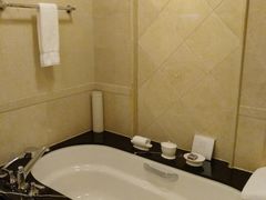 -广州富力丽思卡尔顿酒店